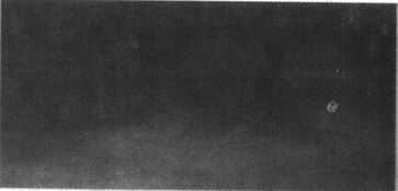 重防腐涂料漆膜發(fā)白的解決方法