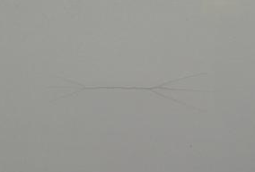 重防腐涂料漆膜有裂紋的解決方案