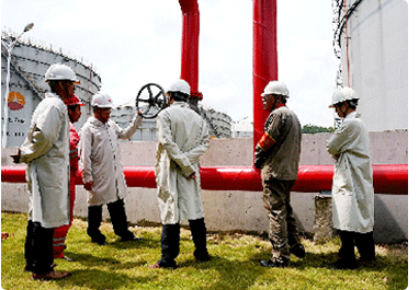 自有施工團隊 知名品牌合作 自有施工團隊 知名品牌合作