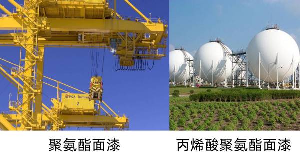 1619338859375801.jpg WPS圖片-修改尺寸.jpg