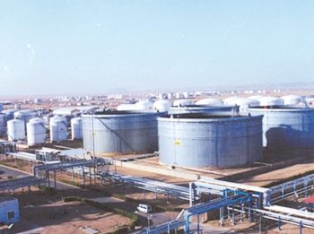 1627354147499259.jpg 7.jpg