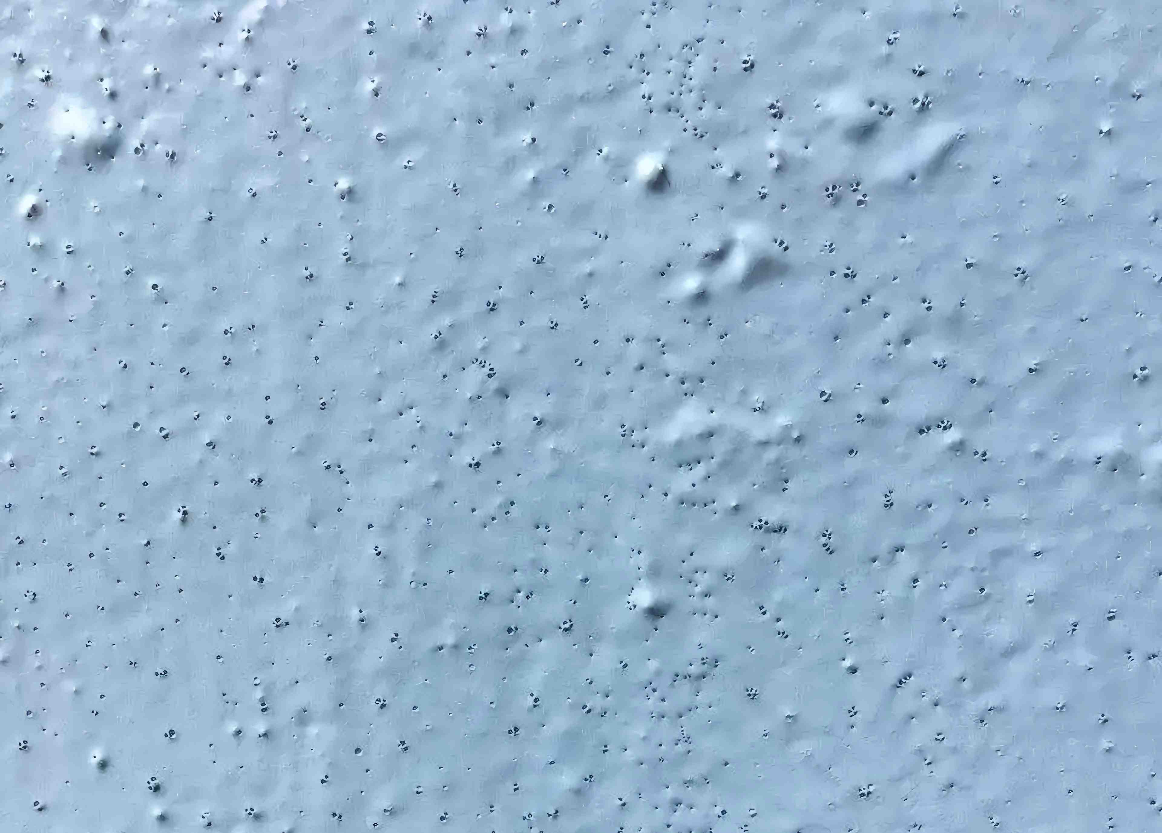 油漆施工缺陷-針孔 油漆施工缺陷-針孔